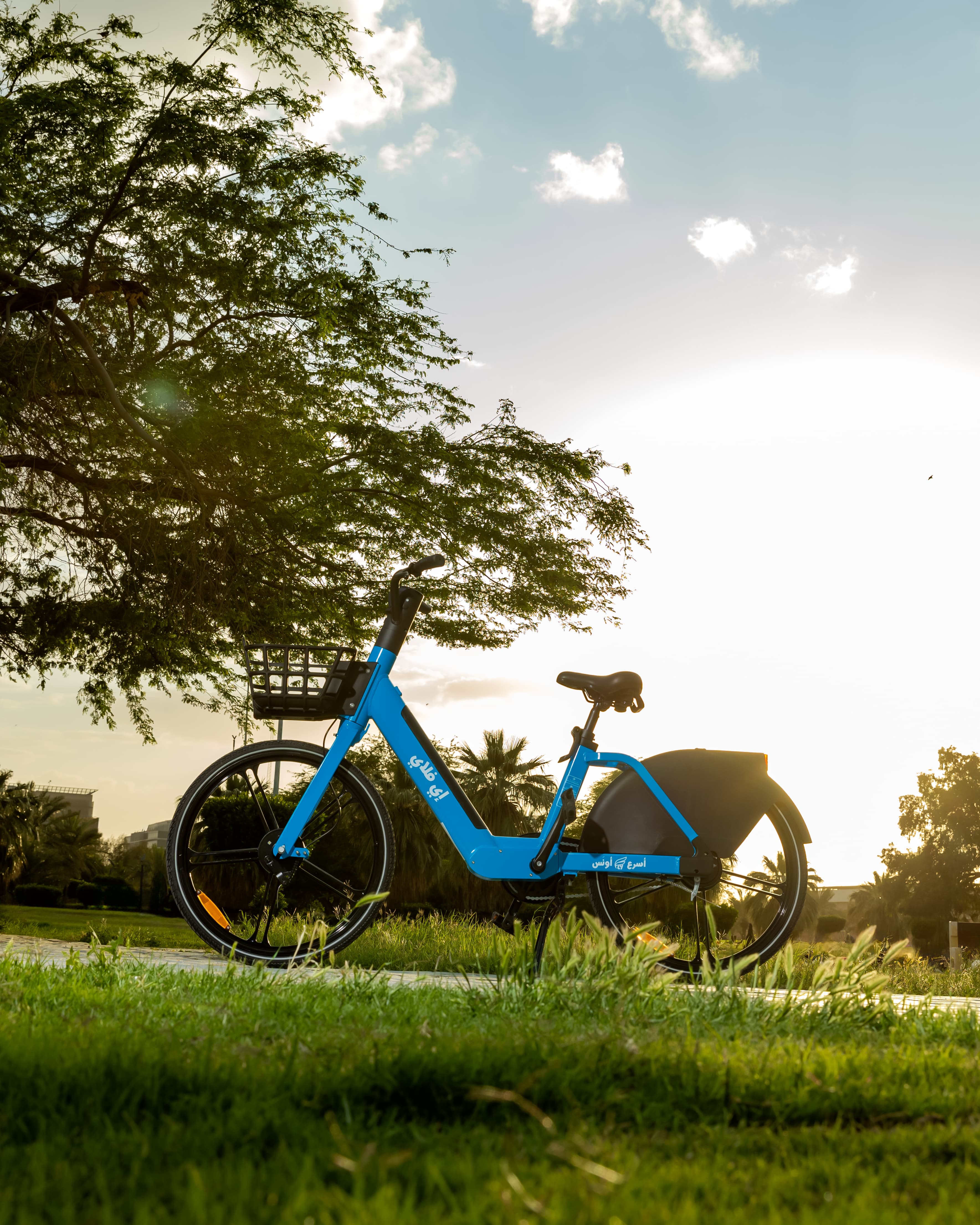 Partnerships for sustainability